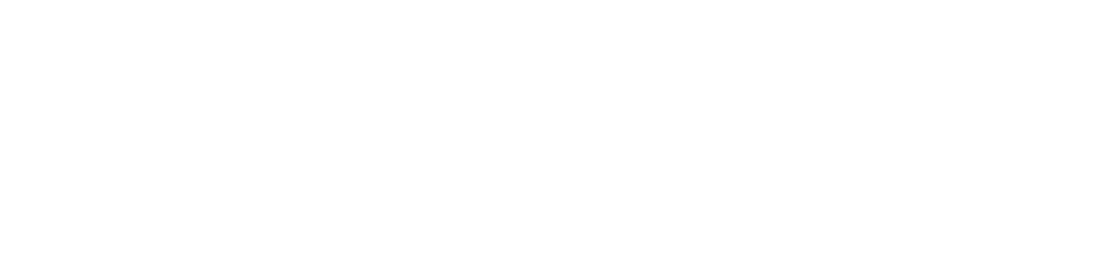 Turlov Family Office Securities